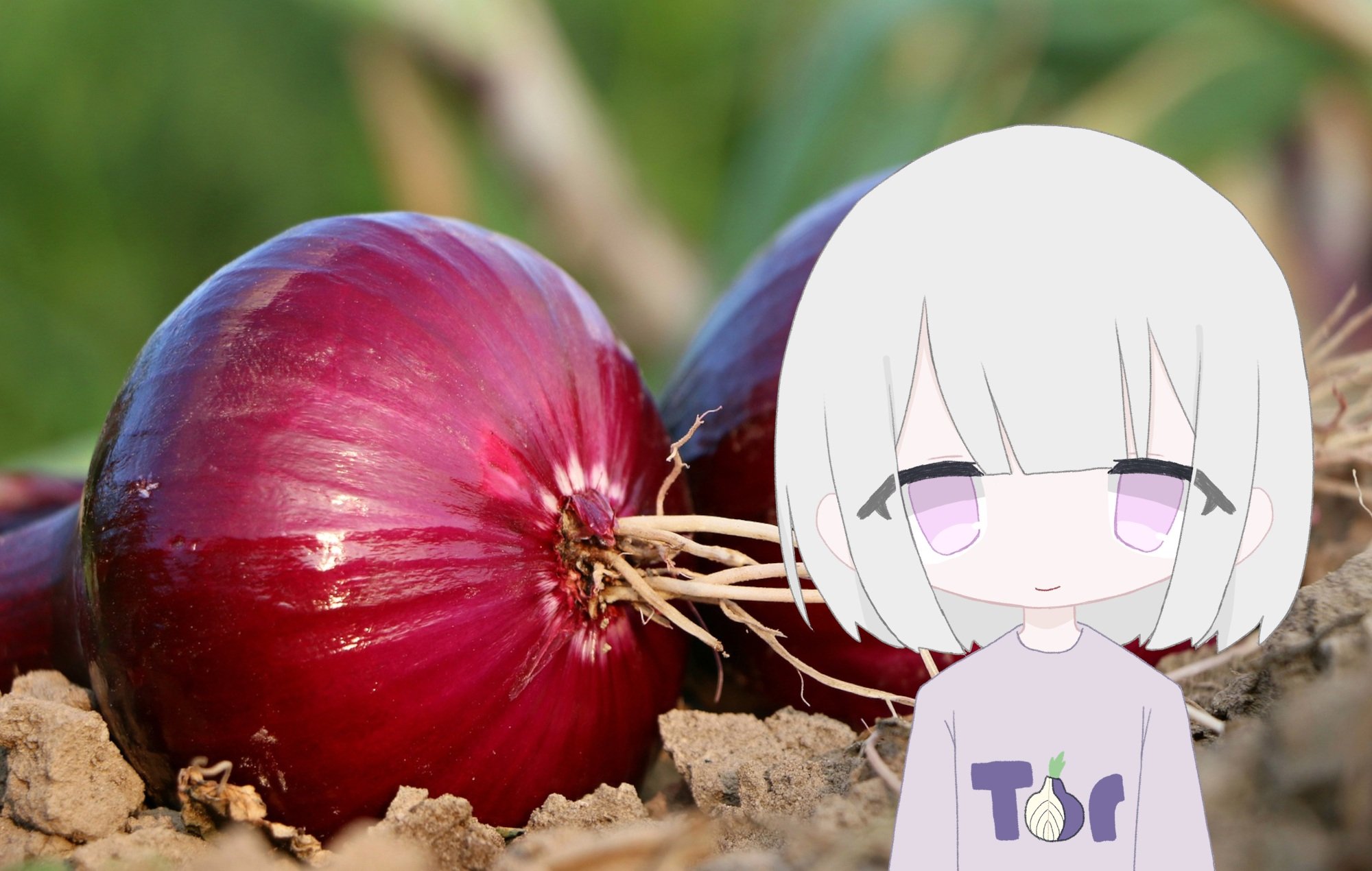 A photo of a red onion and me.